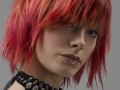 Wella Memory
